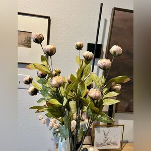 Viral Set of 5 Viral Tan Peony Stems By Ashland | Michael’s- Home Decor